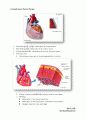 심호흡계 물리치료 (Cardiopulmonary Physical Therapy) 10페이지
