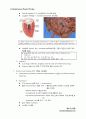 심호흡계 물리치료 (Cardiopulmonary Physical Therapy) 11페이지