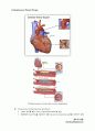 심호흡계 물리치료 (Cardiopulmonary Physical Therapy) 22페이지