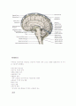 뇌수종(Hydrocephalus)케이스스터디/간호진단/간호력/문헌고찰/뇌출혈 15페이지