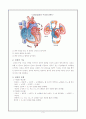 CHF (Congestive Heart Failure) 3페이지