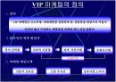 VIP마케팅 3페이지