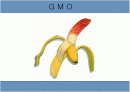 gmo(유전자 변형 농산물) 1페이지