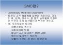 gmo(유전자 변형 농산물) 4페이지
