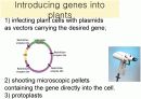 gmo(유전자 변형 농산물) 17페이지