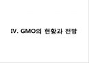 gmo(유전자 변형 농산물) 32페이지