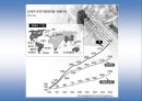 gmo(유전자 변형 농산물) 39페이지