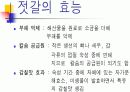 발효식품과건강 13페이지