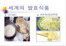 발효식품과건강 21페이지