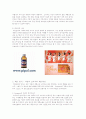 박카스 VS 비타500 광고분석 11페이지