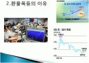 KIKO(키코)와 환율폭등 그리고 한국경제 4페이지