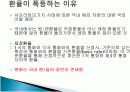 KIKO(키코)와 환율폭등 그리고 한국경제 5페이지