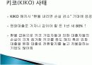KIKO(키코)와 환율폭등 그리고 한국경제 9페이지