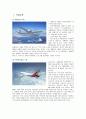 [경영학] 대한항공과 아시아나항공의 글로벌 선도전략(마케팅전략, SWOT 분석, 4P 분석) 2페이지
