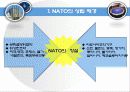 국제기구 나토(NATO) 3페이지