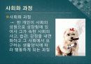 교육학개론 - 교육의 사회학적 기초 4페이지