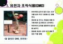 [GMO ppt]gmo 찬반논란 집중분석, gmo의 문제점과 반대 사유, gmo 위험성에 대한 고찰(반대 중심) 4페이지