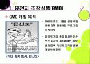 [GMO ppt]gmo 찬반논란 집중분석, gmo의 문제점과 반대 사유, gmo 위험성에 대한 고찰(반대 중심) 5페이지