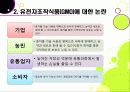 [GMO ppt]gmo 찬반논란 집중분석, gmo의 문제점과 반대 사유, gmo 위험성에 대한 고찰(반대 중심) 8페이지