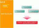 [마케팅원론] '스킨푸드'의 일본진출 마케팅 전략 분석 ['A+레포트'] 12페이지
