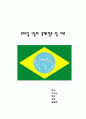 브라질 정보 와 축제 1페이지