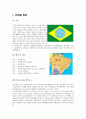 브라질 정보 와 축제 2페이지