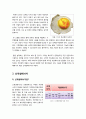 [신재생에너지]신재생에너지의 종류와 장점 및 단점 분석, 신재생에너지란 무엇이며 왜 필요한가(미래에너지, 대체에너지, 신재생에너지)  4페이지