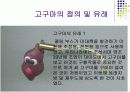 고구마 가공식품 종류, 생산현황-후회없음- 4페이지