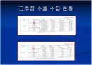 고추장 시장성,제품 연구동향-후회없음- 10페이지