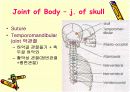 관절 의학용어 파워포인트 발표자료  Articular System  8페이지