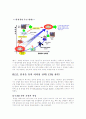 [경영학원론] '제록스'의 경영전략 분석 ['A+레포트'] 14페이지