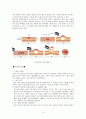 [위암케이스]위암에대한 모든것(위암문헌고찰,위암케이스,위암간호과정,위암치료,위암원인,위암증상등) 4페이지