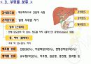 담낭암의 원인과 부위별 분류 및 증상과 진단 치료 6페이지