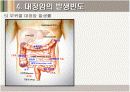 대장암  large intestine cancer 14페이지