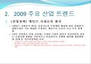 2009년 주요 산업 전망과 현안 74페이지