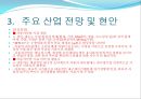 2009년 주요 산업 전망과 현안 79페이지