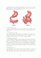 위암 문헌고찰 6페이지