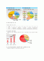 한국사회의 다문화가정 문제점과 대책 3페이지