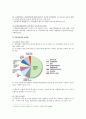 한국사회의 다문화가정 문제점과 대책 8페이지