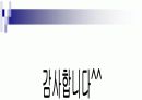 [사회복지론] 다문화가정의 현황과 개선방안 분석 ['A+레포트'] 16페이지