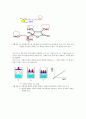 [일반화학실험] 순물질, 혼합물의 어는점 내림 및 분자량 측정 실험(예비+결과레포트) 2페이지