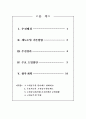 「고위공무원단제도」도입 방안 2페이지