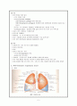 성인간호학 레포트- 호흡기 구조 및 기능 5페이지