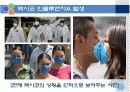 국제사회 HOT ISSUE-인플루엔자A의 전세계적 확산- 3페이지