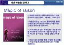 [브랜드마케팅]KT&G '레종(RAISON)' 마케팅전략 기획서  17페이지