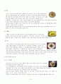 한국 음식의 이해  12페이지