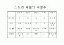 [모든학과] 시장세분화 및 스포츠 제품 13페이지