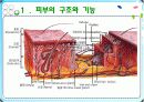 피부기계 4페이지