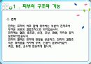 피부기계 6페이지