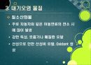 [대기오염]대기오염의 원인과 유발 물질, 대기오염의 심각성과 문제해결을 위한 과제, 대기오염 경감 대책 12페이지